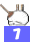 7